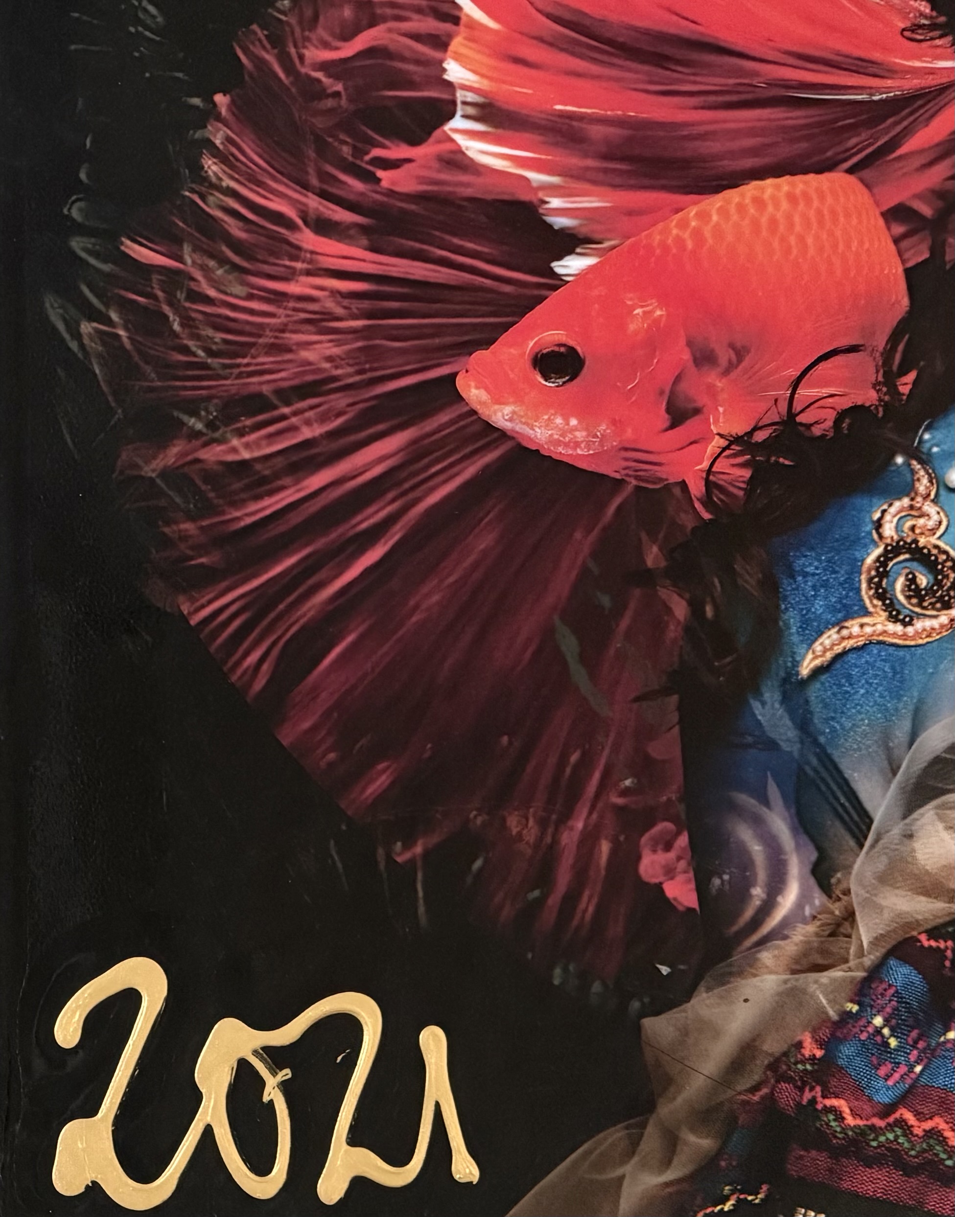 Jack Limburg – Dream in Colours