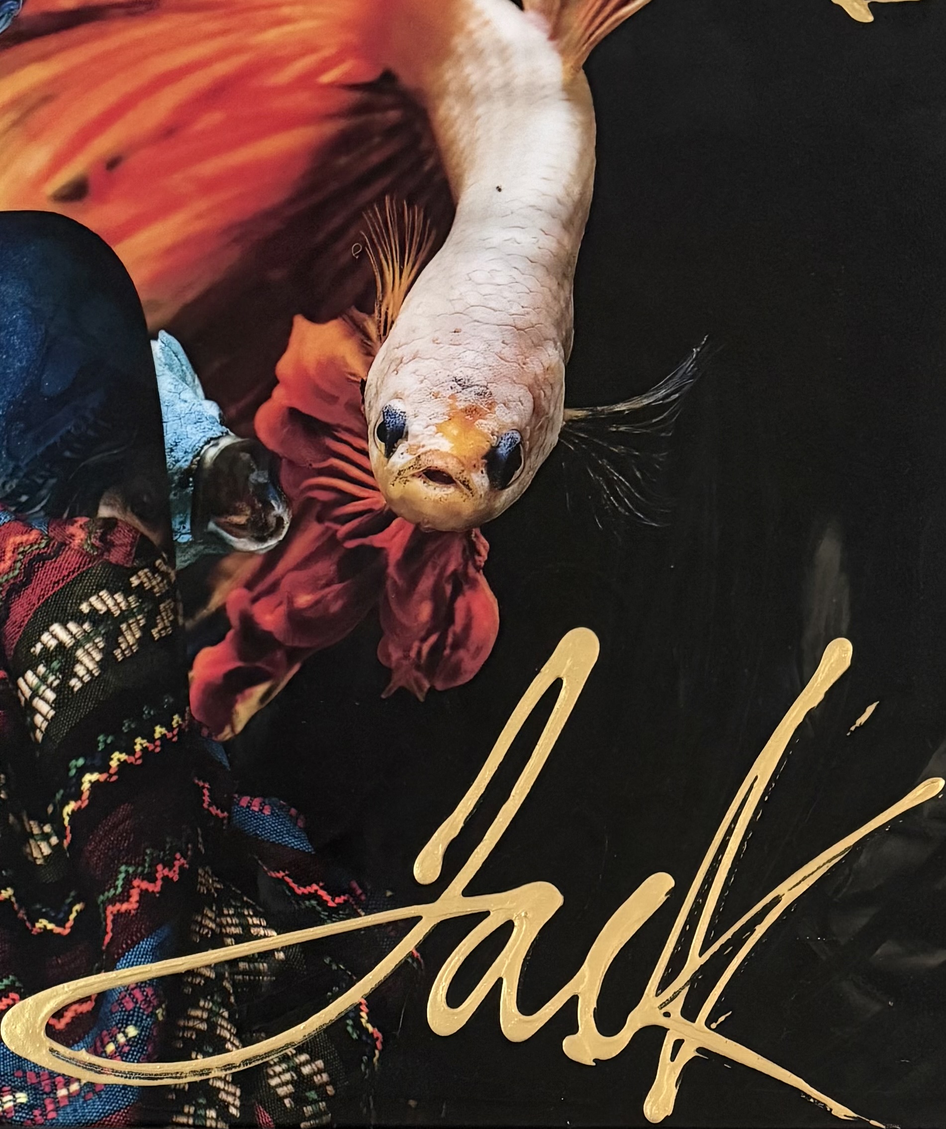 Jack Limburg – Dream in Colours