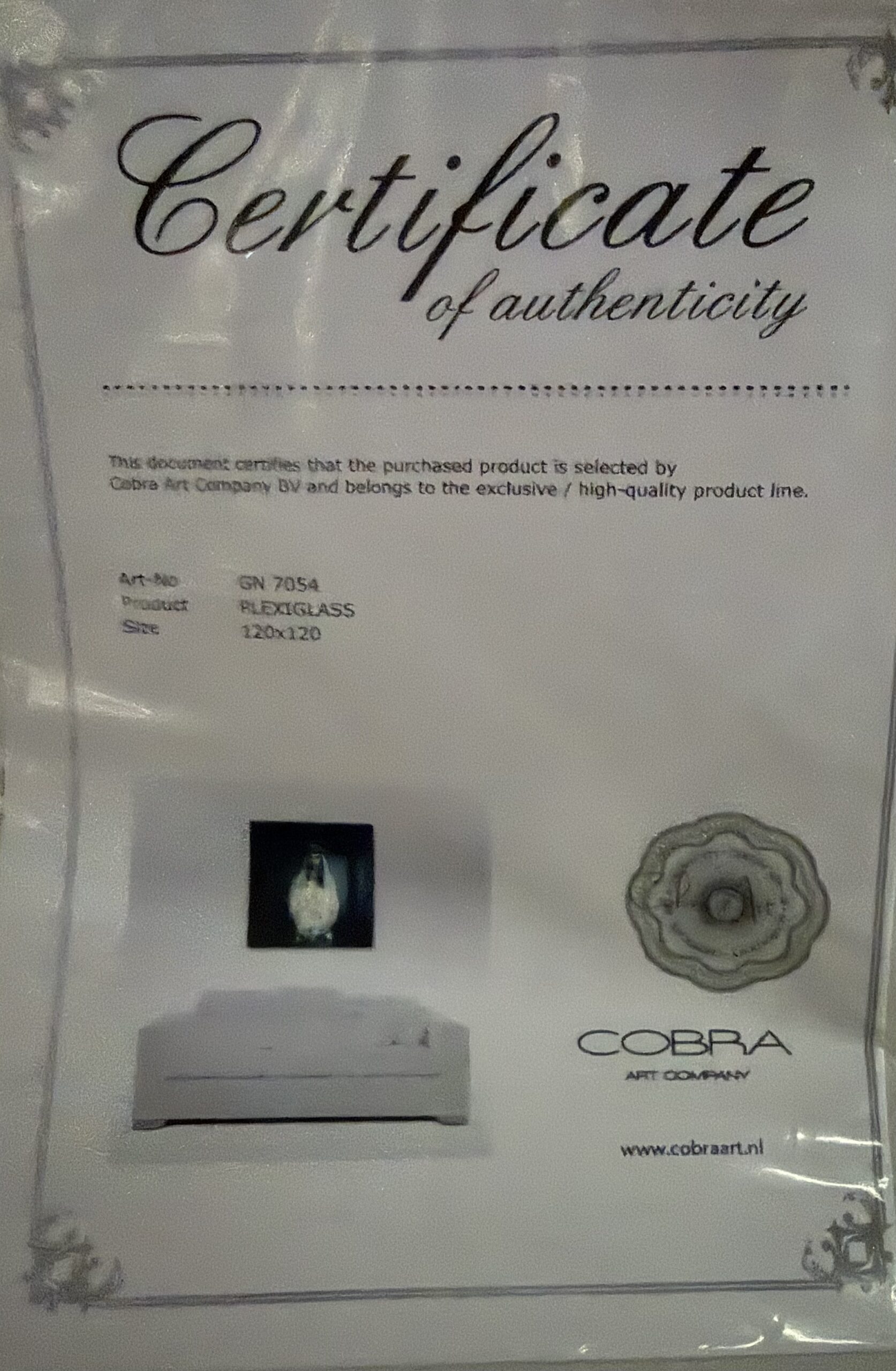 Cobra Art — The Veil of Silence