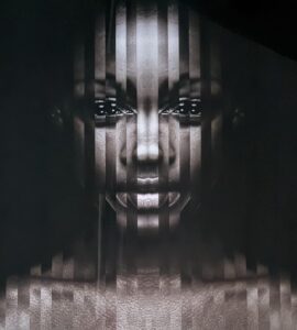 Cobra Art — Fractured Identity — Dark Edition