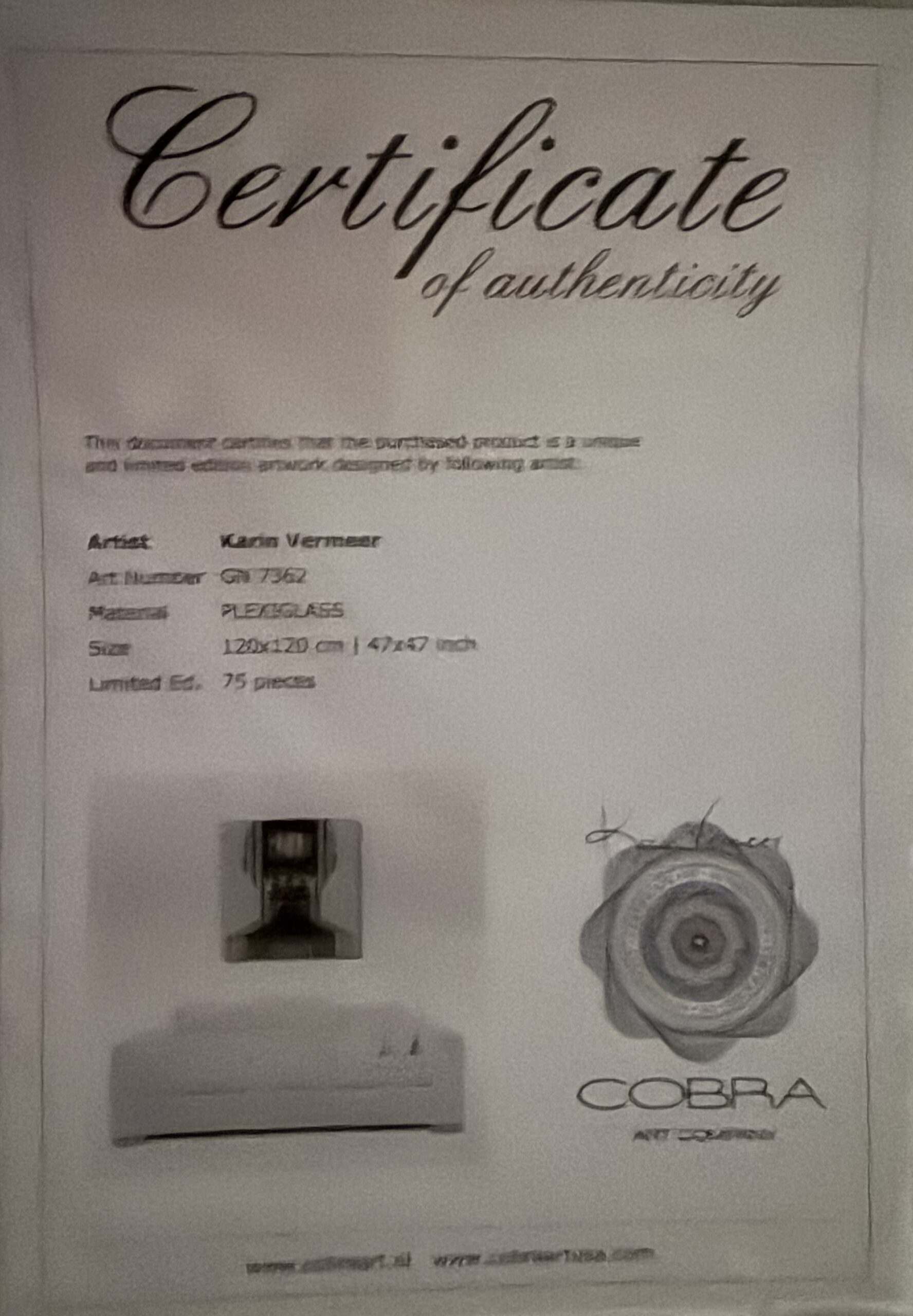 Cobra Art — Fractured Identity — Light Edition