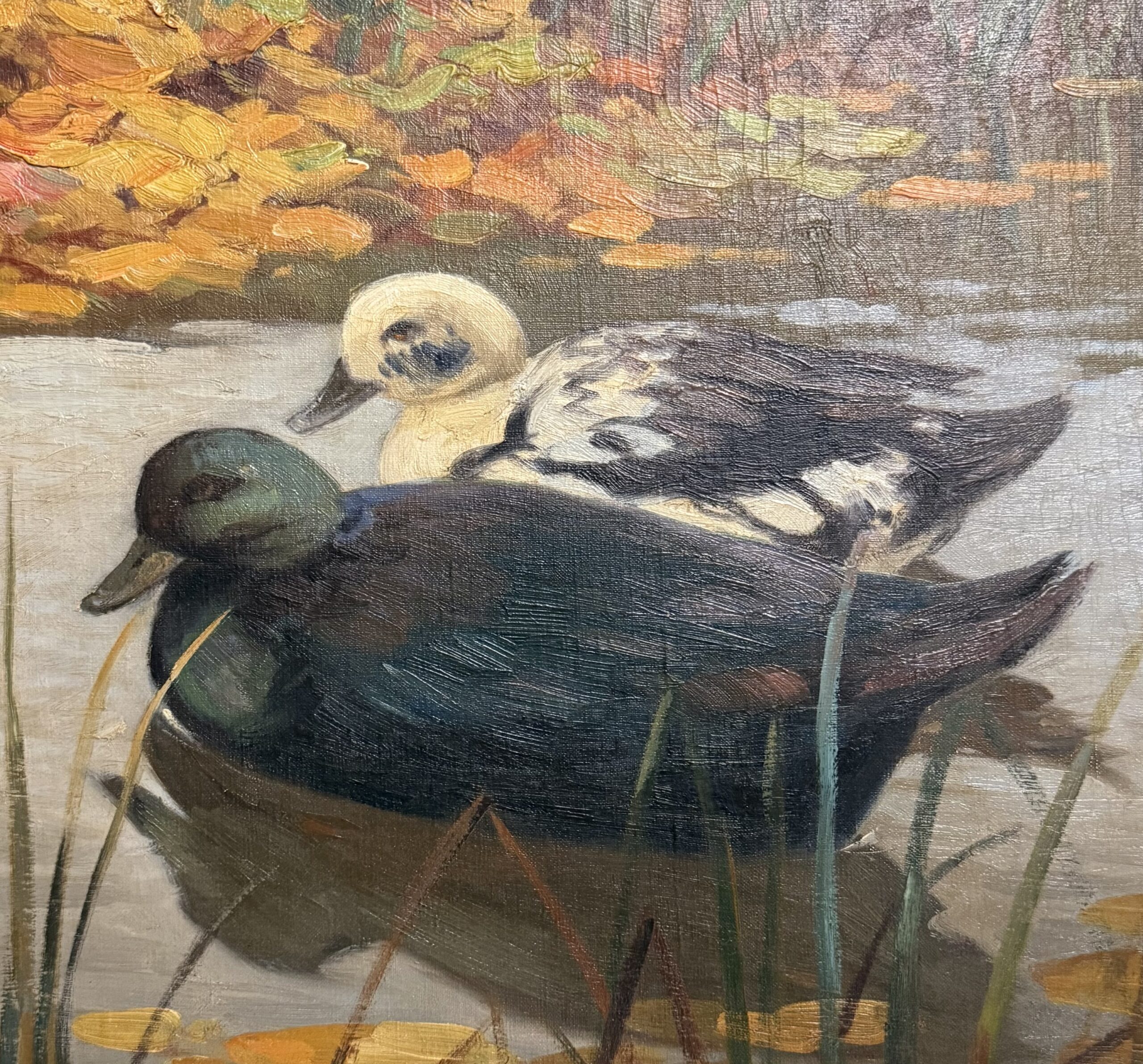 K. Schwartz – Eenden in het riet
