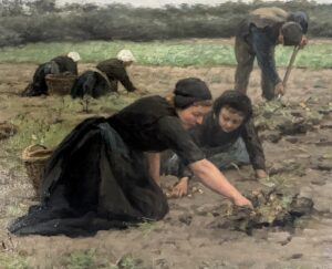 Hendrik Valkenburg – Aardappelrooisters op het veld